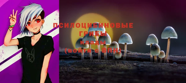 МДПВ Алексин
