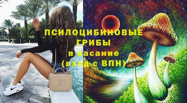 МДПВ Алексин