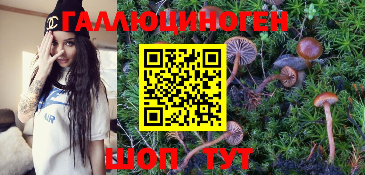 Галлюциногенные грибы Psilocybe  Псилоцибиновые грибы GOLDEN TEACHER  Вход с VPN  Симферополь 